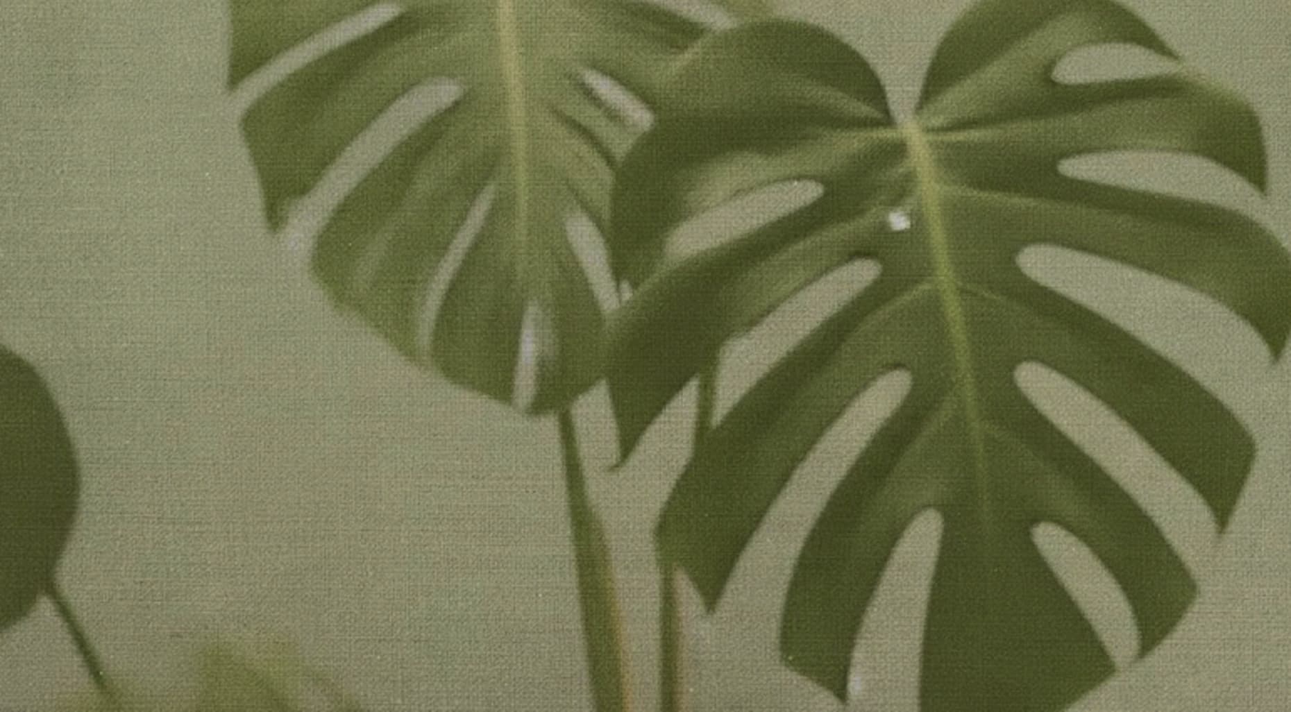 Ankooram